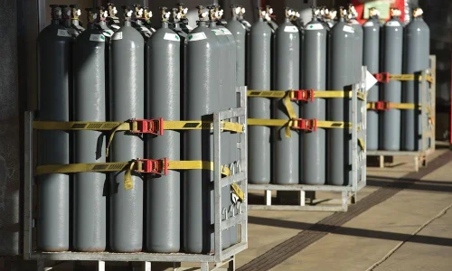 Bulk & Centralized Gas Systems Bulk & Centralized Gas Systems